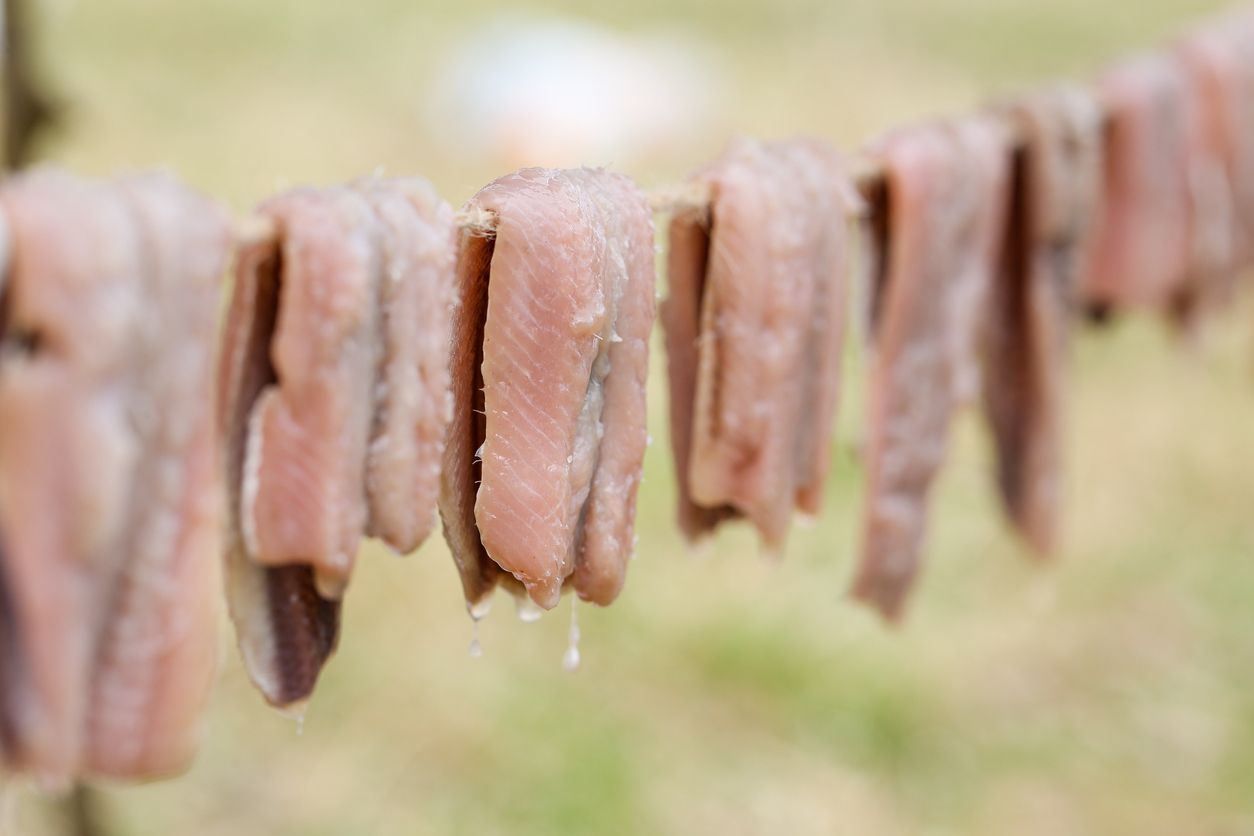 Makanan Terbau Yang Ada Di Dunia