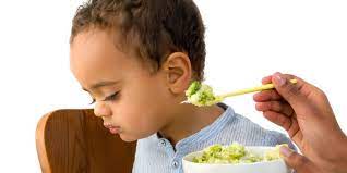 Investigasi Pemahaman Tentang Makanan dan Gizi Untuk Anak